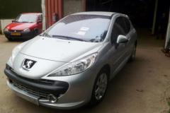 Peugeot 207 2009